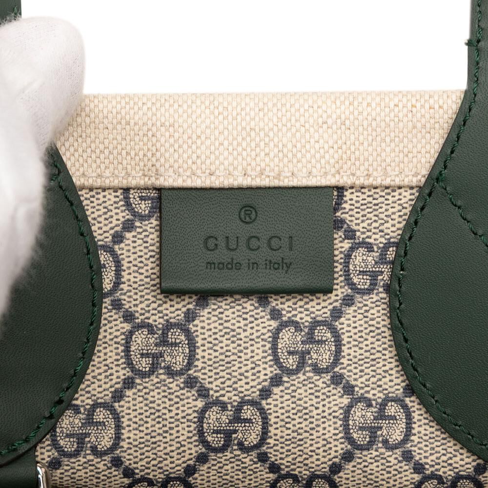 Gucci Handbag