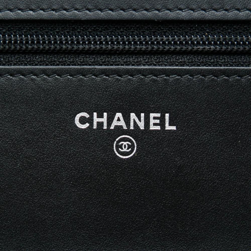 Chanel Boy Bags