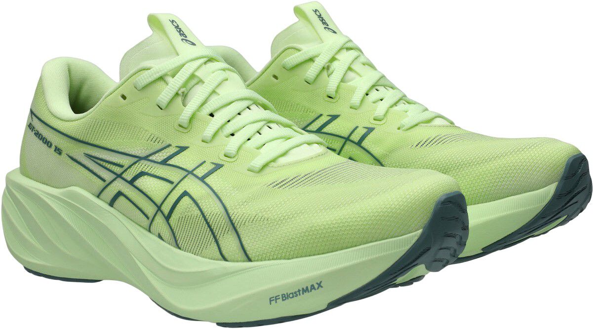 GT-2000 15 L&oslash;besko