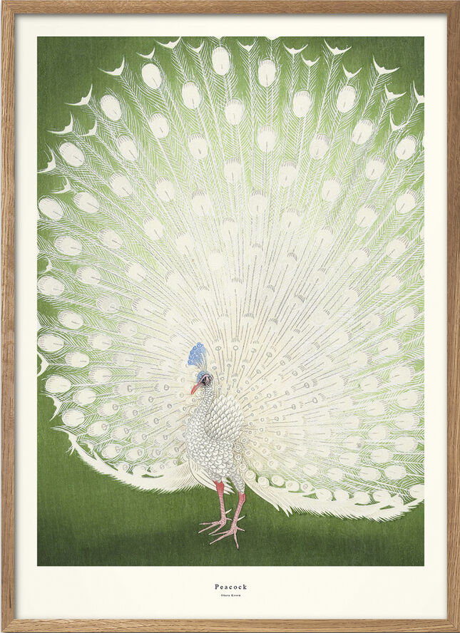A. P. Atelier - peacock 1