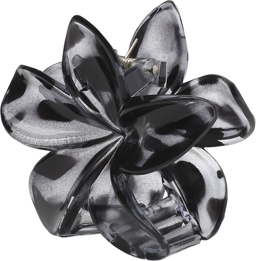 Plumeria Clarity Big