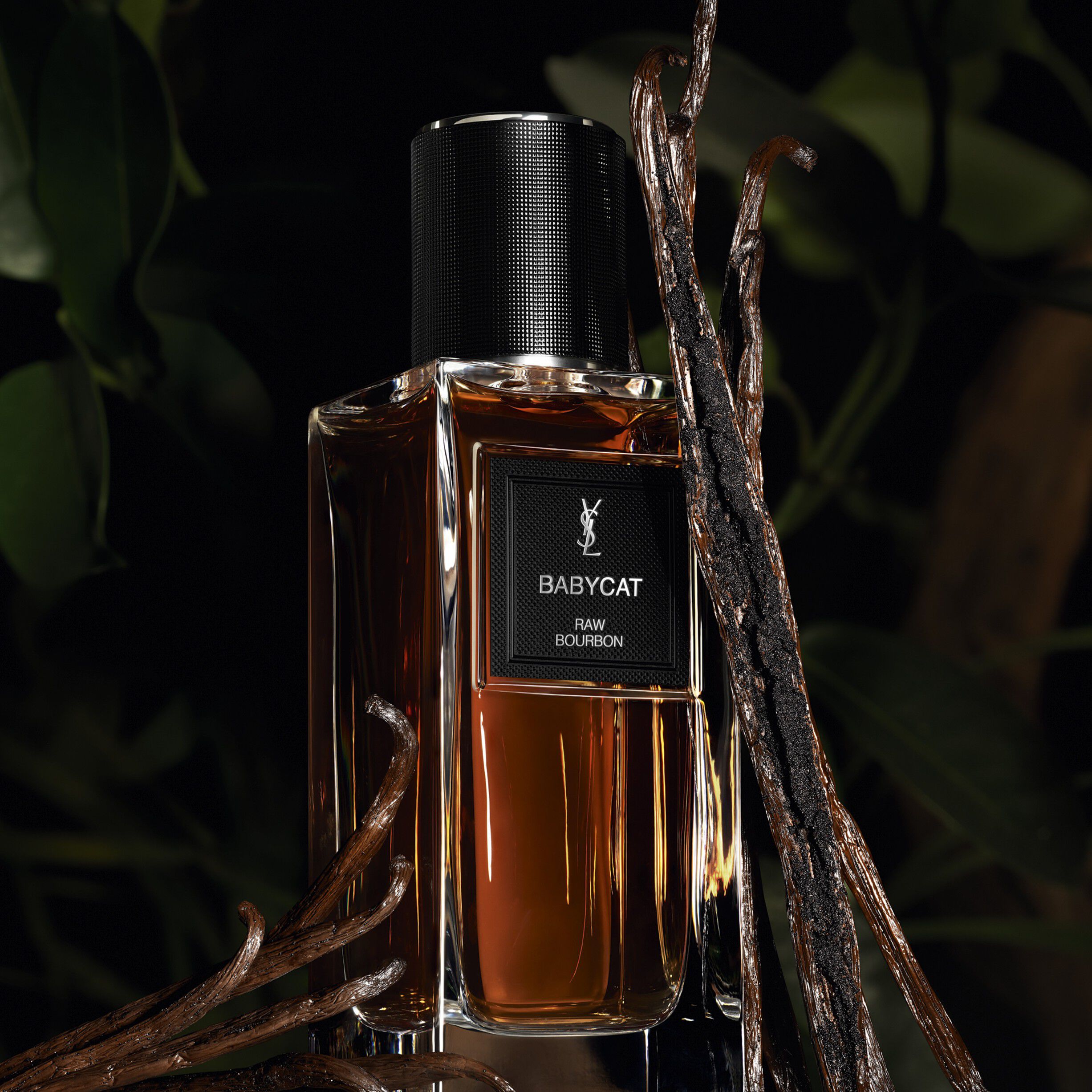 BABYCAT -Le Vestiaire des Parfums