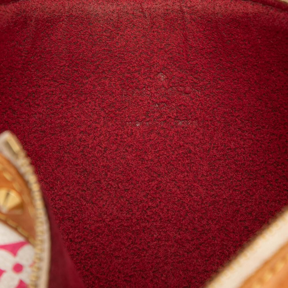 Louis Vuitton Pochette Accessoires