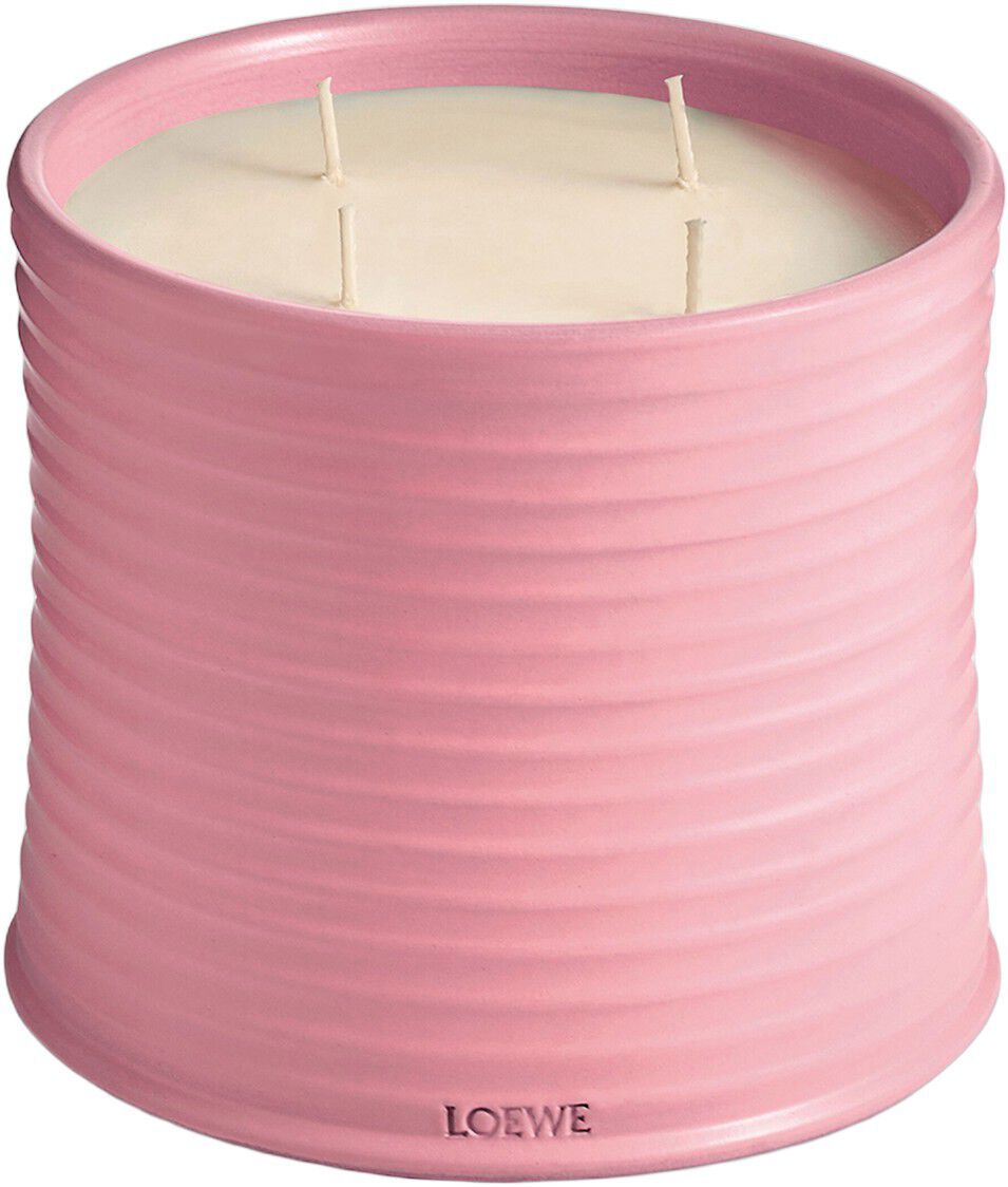 LOEWE Ivy Candle