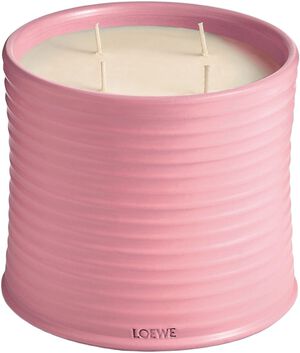 LOEWE Large Ivy Candle