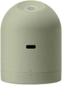 Pilo 2 Fabric Shaver - Sage