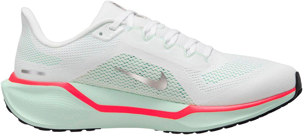 Pegasus 41 L&oslash;besko