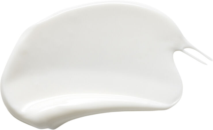 Ginger Hand & Body Hydrating Lotion