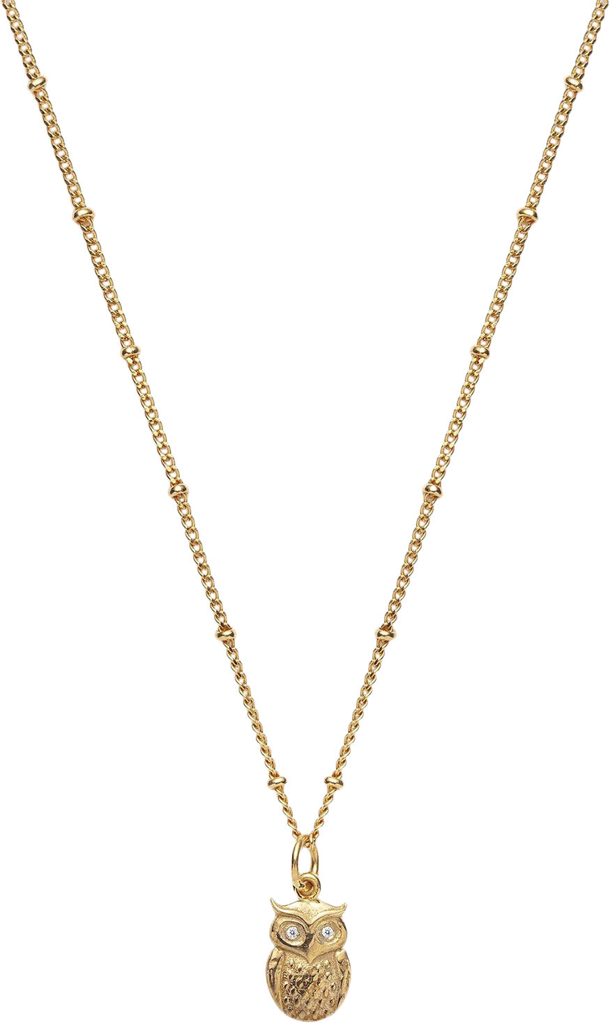 Global Goal #4: Wisdom