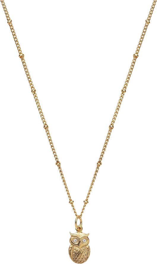 Global Goal #4: Wisdom