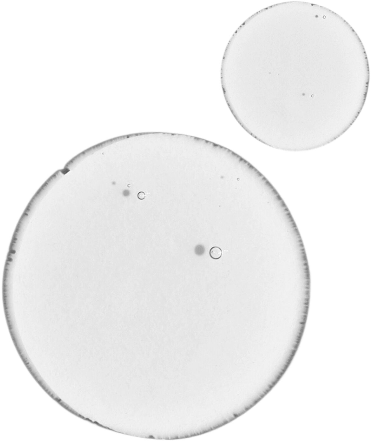 BALANCING & CLARIFYING S 30ML/1FLOZ