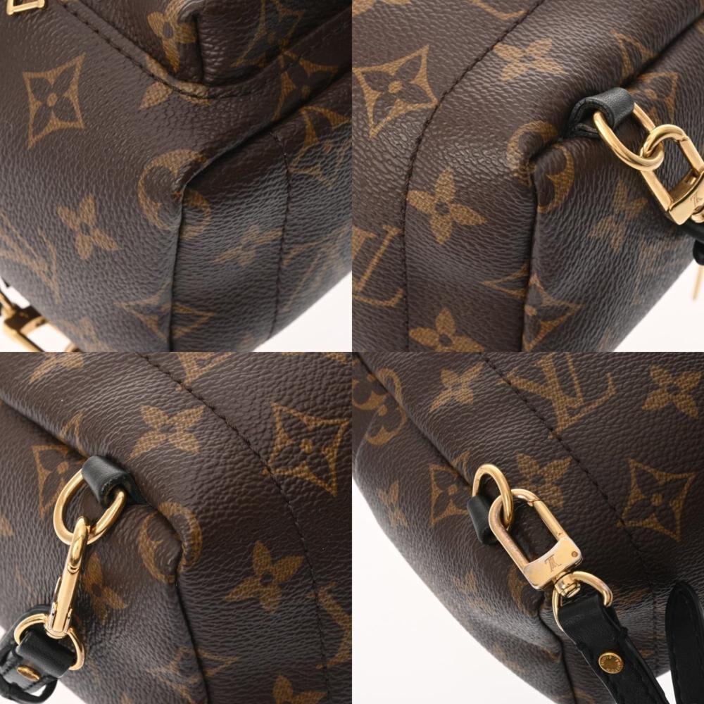 Louis Vuitton Palm Springs