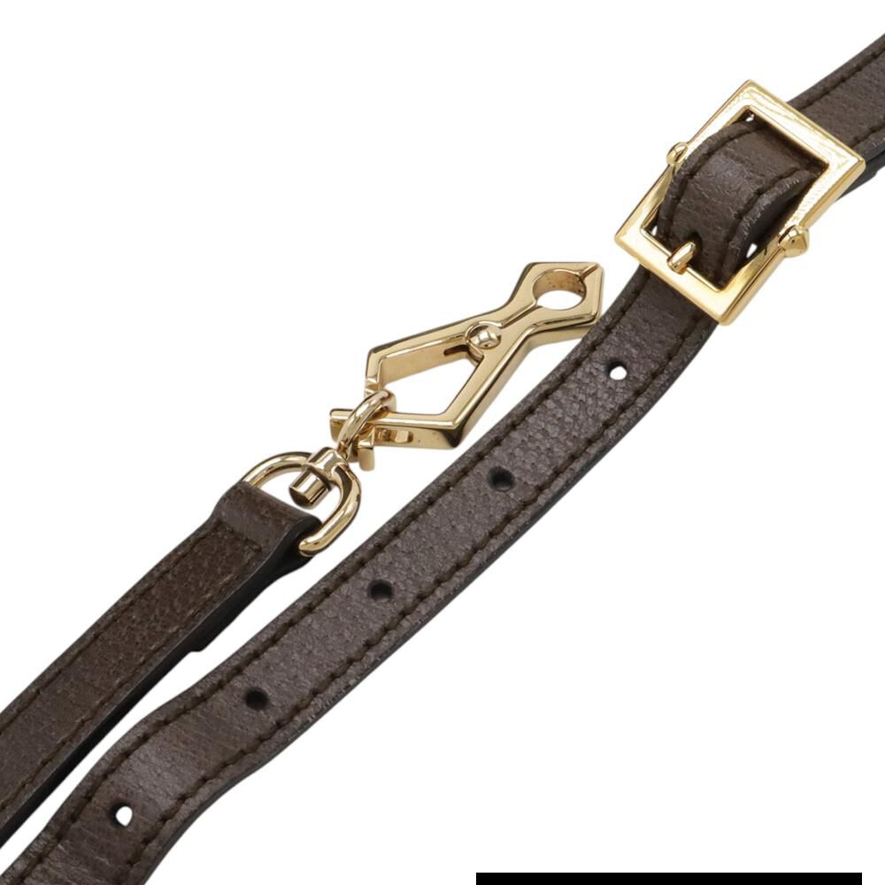 Gucci Ophidia