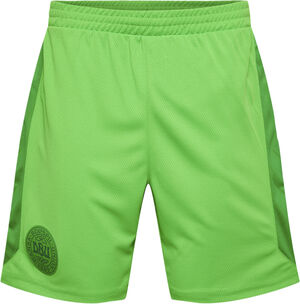 DBU Danmark målmandsshorts 22