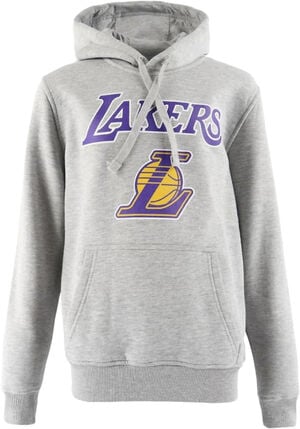 TEAM LOGO PO HOODY LOSLAK LGH