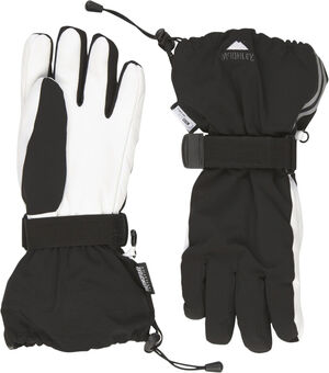 Softshell Skiglove