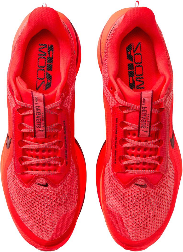 Pegasus Premium L&oslash;besko