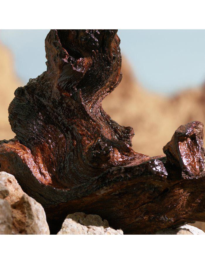 K by Dolce&Gabbana Elixir 50 ml