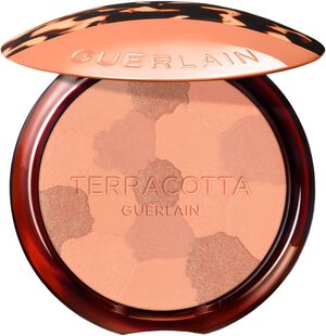 **TERRA BRONZ POWDER LIGHT 01
