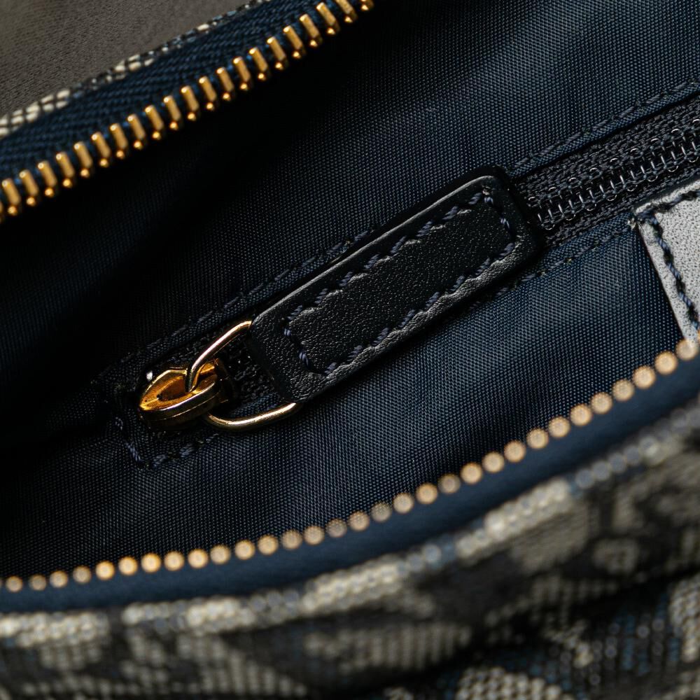 Dior Crossbody Bag