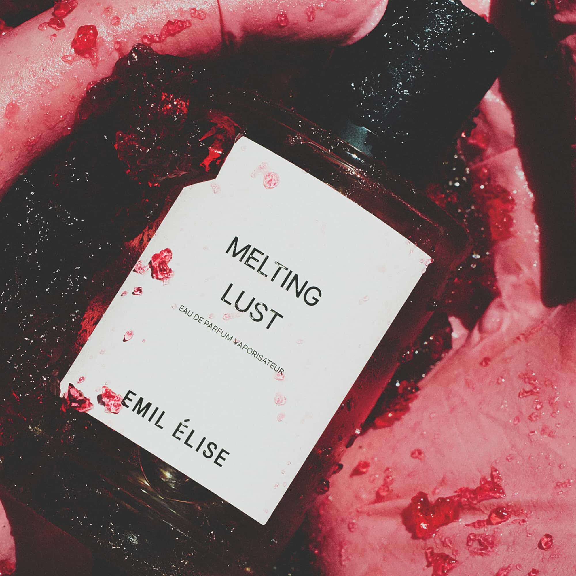 EMIL &Eacute;LISE Melting Lust EdP 100 ml