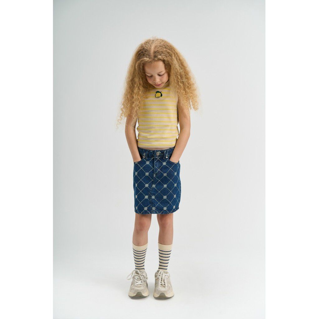TNStine Denim Skirt