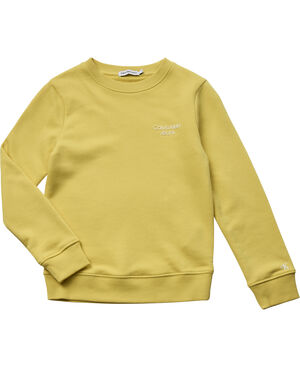 Sweatshirt with logo