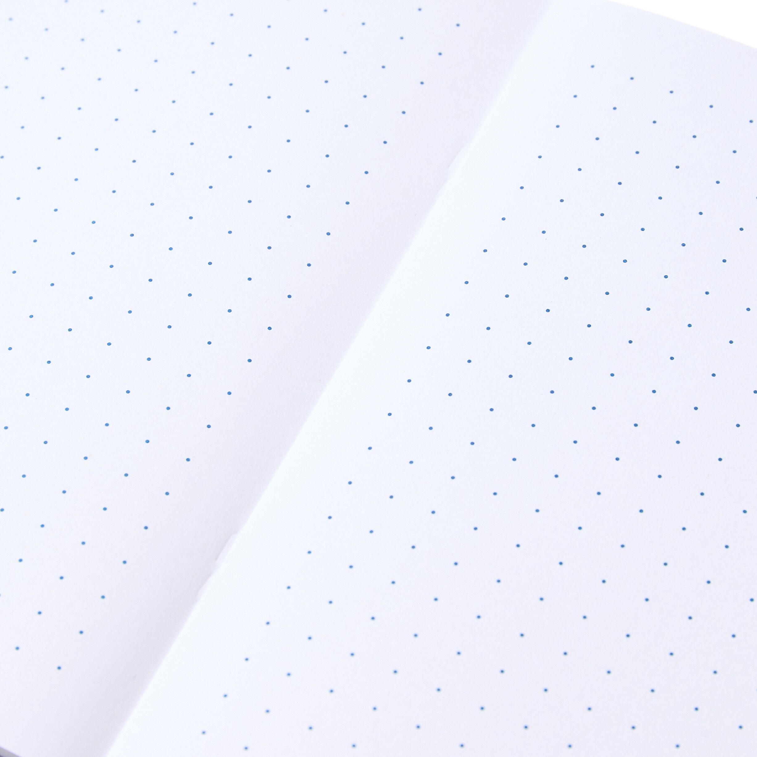 Pantone BOOKLETS SET OF 2 DOTTED - Blue
