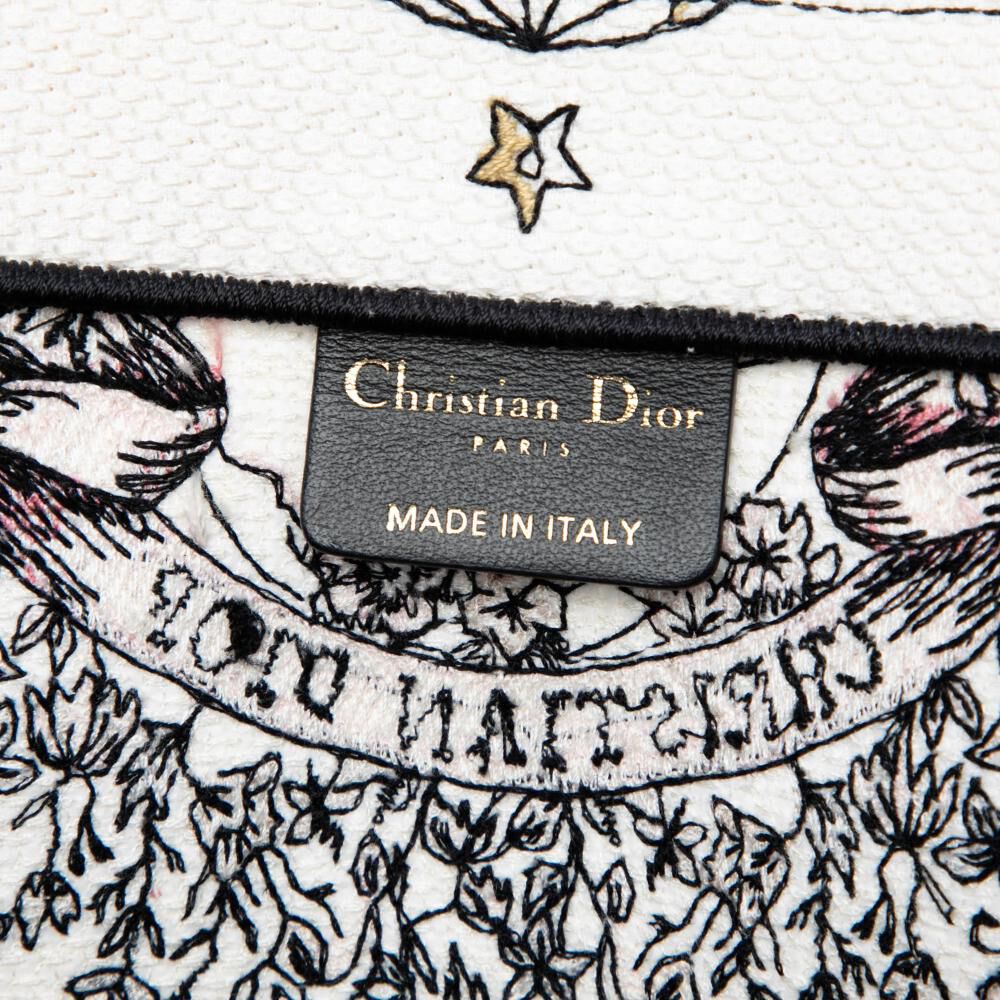 Dior Book Tote