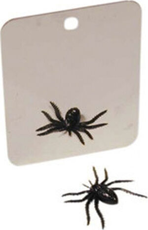 COGHLAN St&aring;lspejl