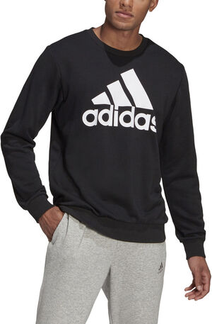Essentials Big Logo sweatshirt