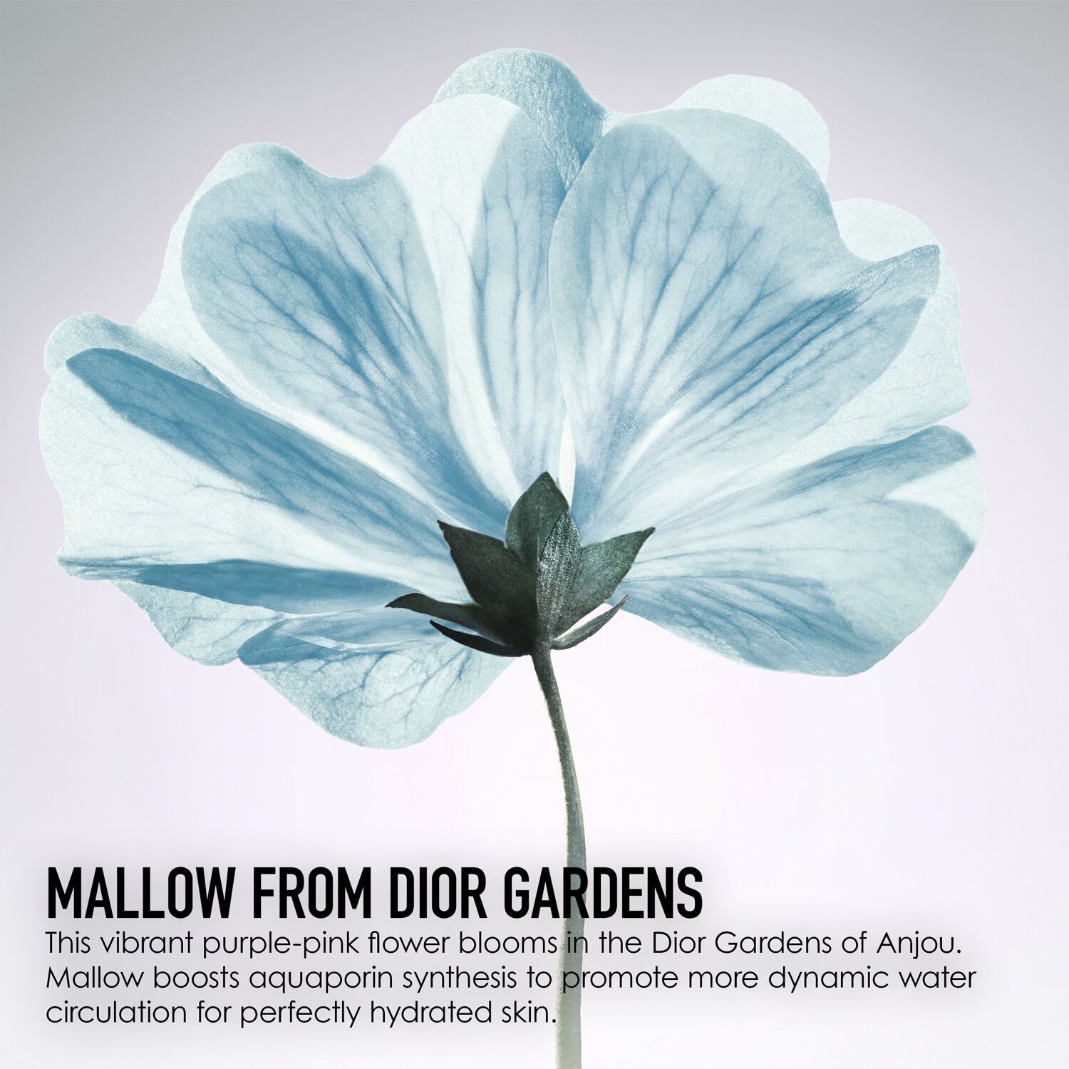 Dior Hydra Life Balancing hydration - 2 in 1 sorbet water