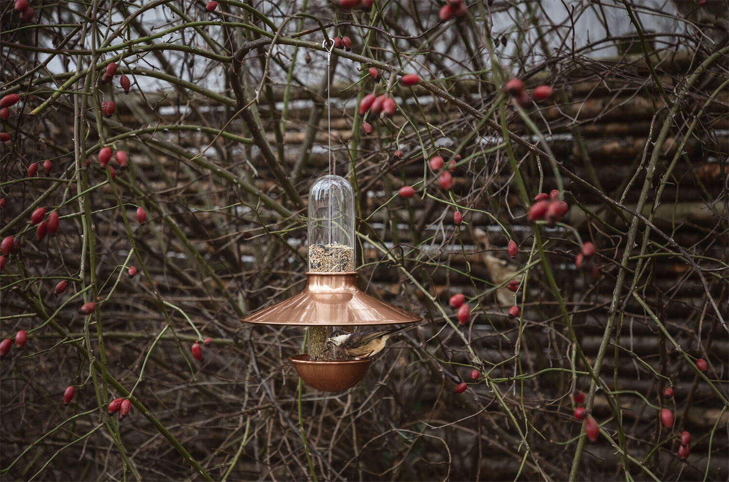 De luxe fuglefoderautomat kopper