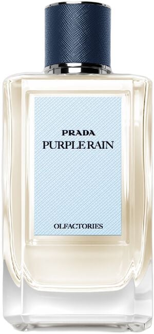 PR OLFA PURPLE RAIN 100ML MV