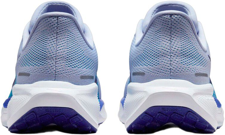 Pegasus 41 L&oslash;besko