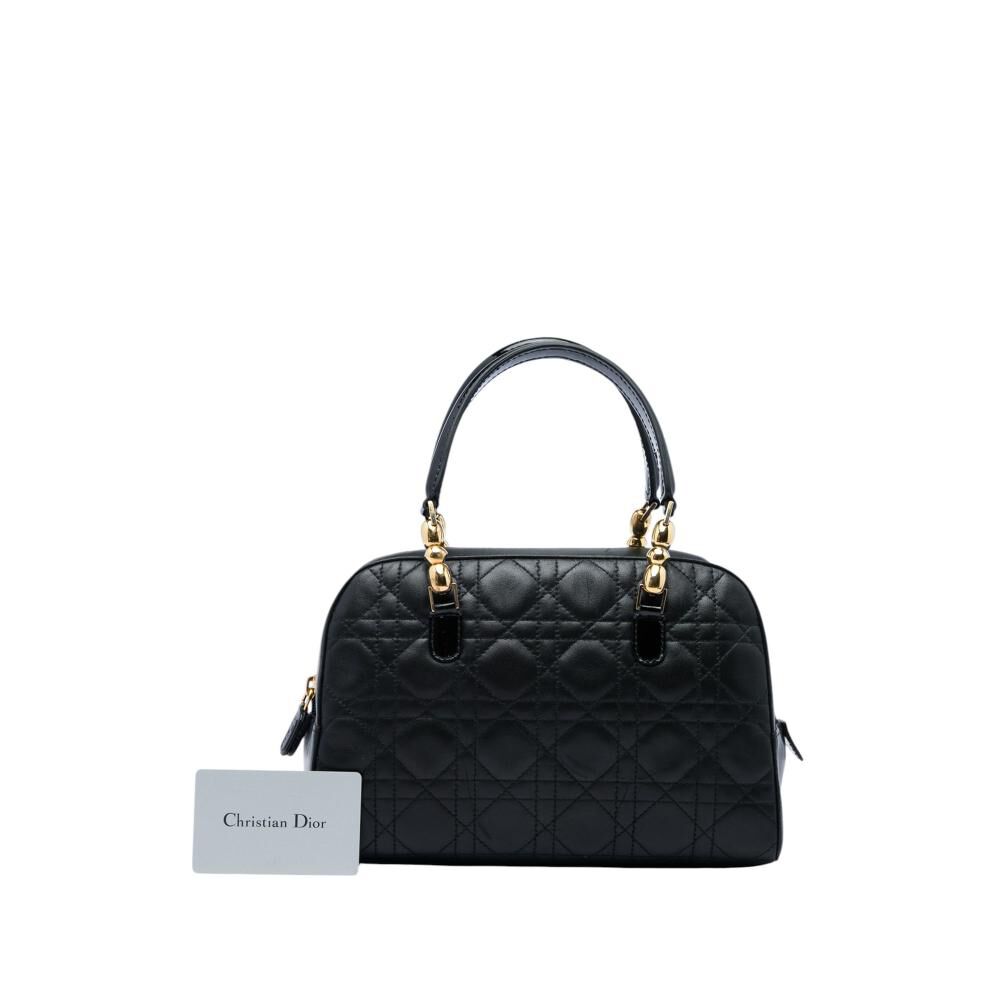 Dior Handbag