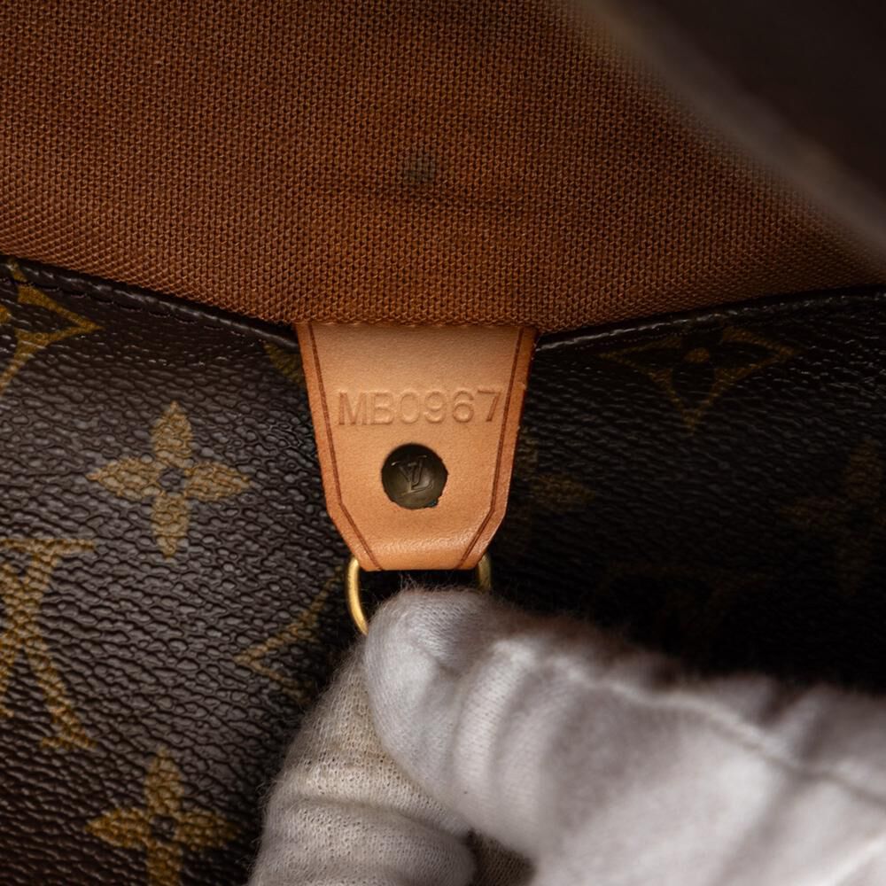 Louis Vuitton Sac Shopping