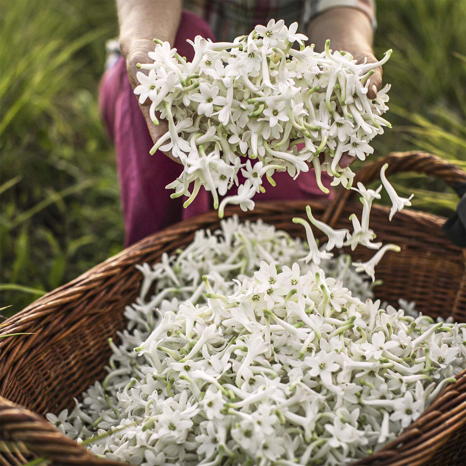 J'adore Infinissime Eau de Parfum