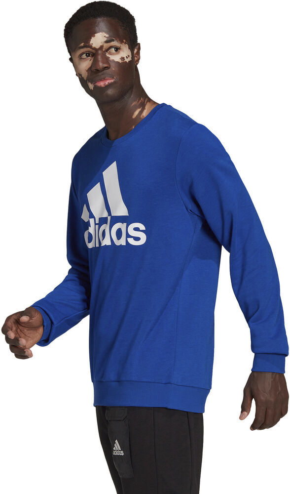 Essentials Big Logo sweatshirt