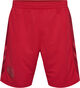 DBU Danmark hjemmebaneshorts 22 Voksen