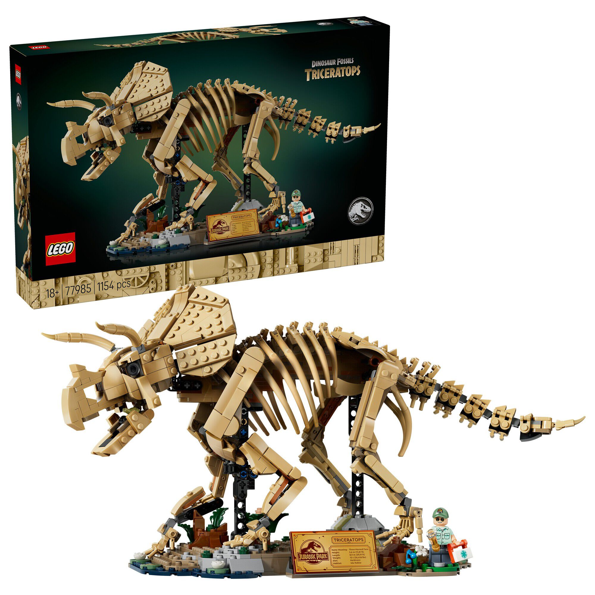 Dinosaurfossiler - Triceratops 77985