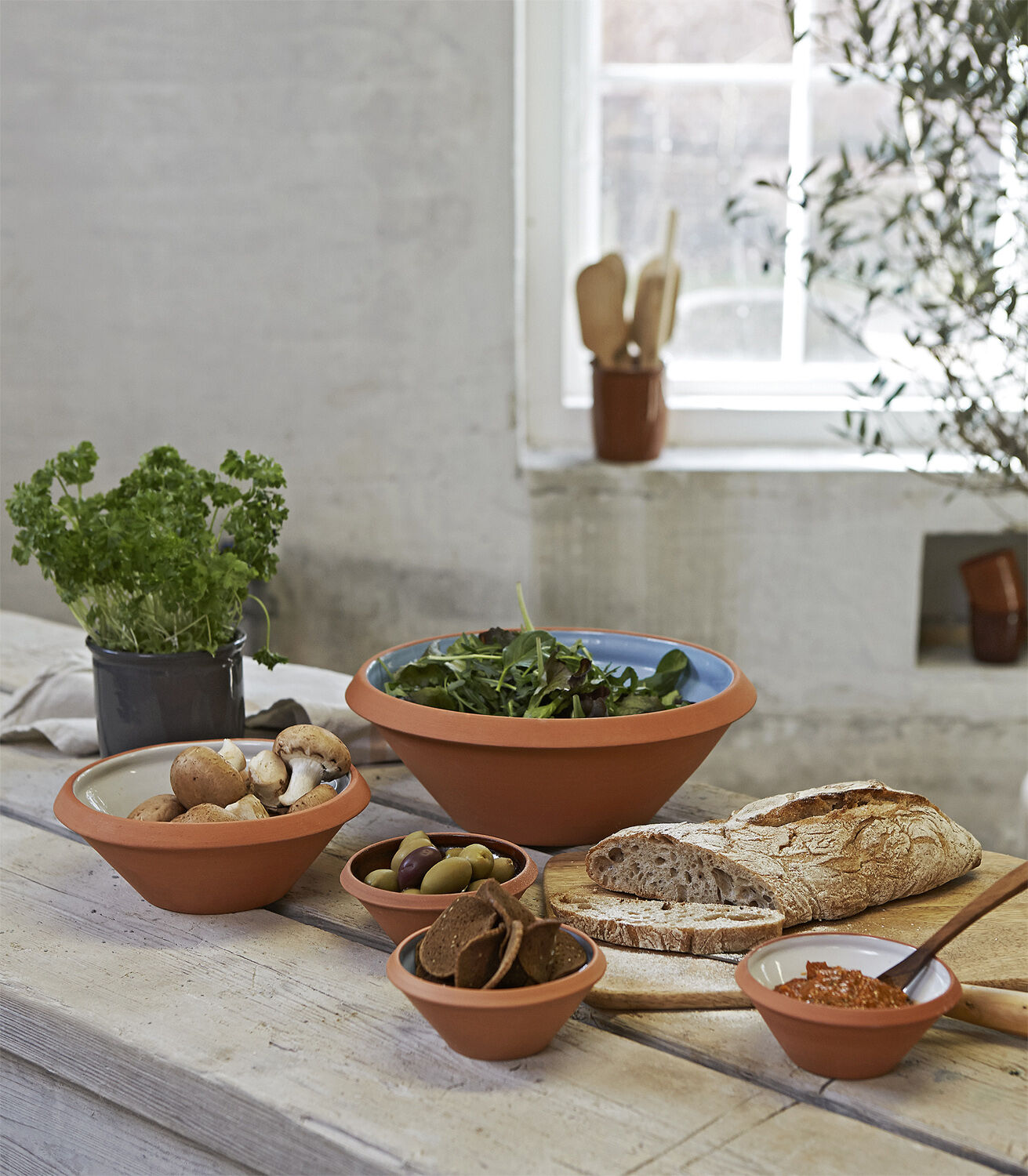 Dejfad, terracotta, 2 l