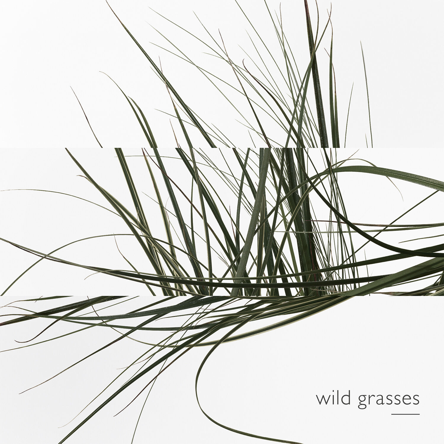 Un Jardin sur le Toit Eau de toilette