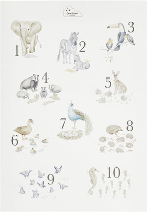 Number Poster,  Mix