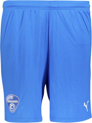 FC Skanderborg Teamgoal 23 Fodboldshorts