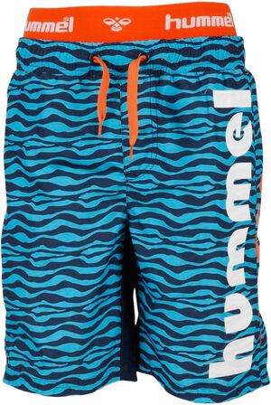 Wade Swim Shorts