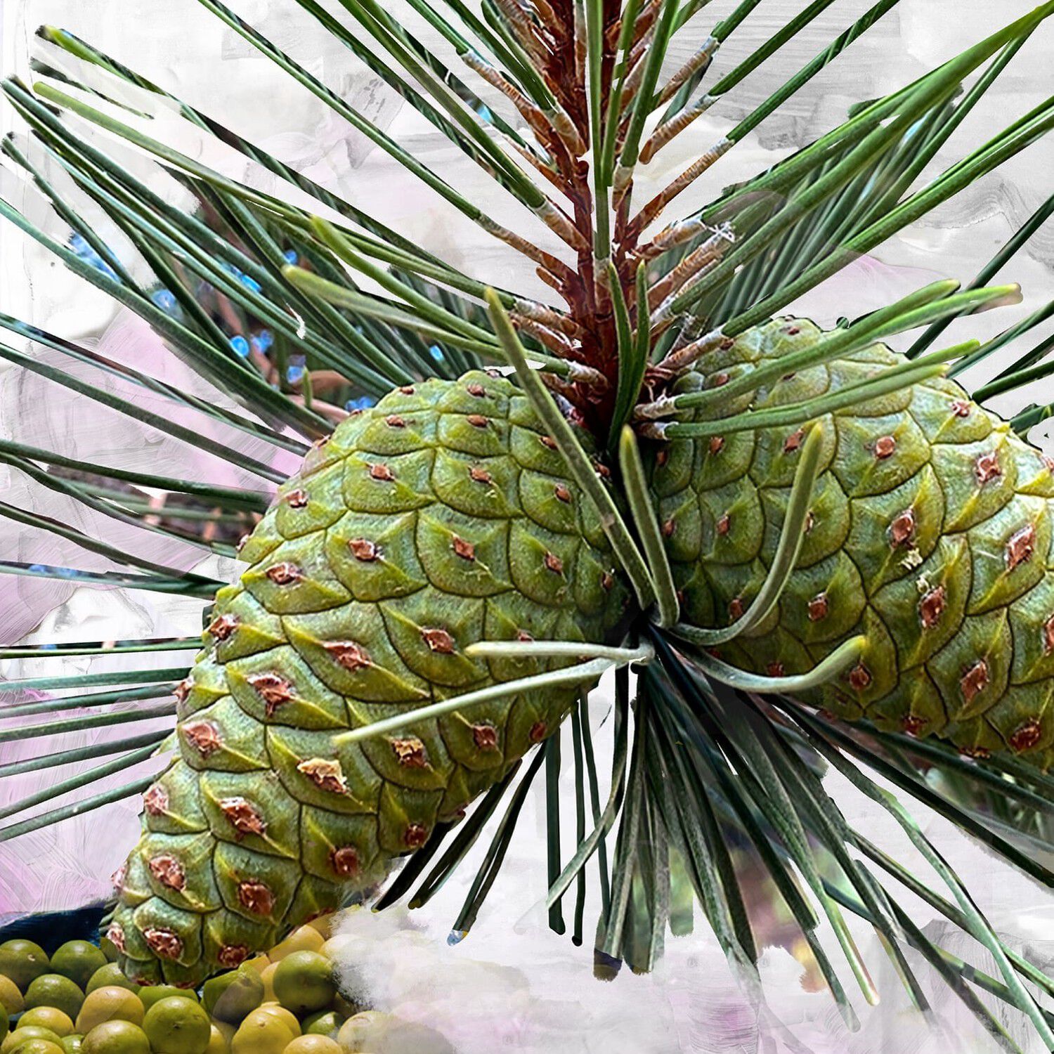 Byredo Gypsy Water Huile Pour Le Corps Body Oil 200 ml