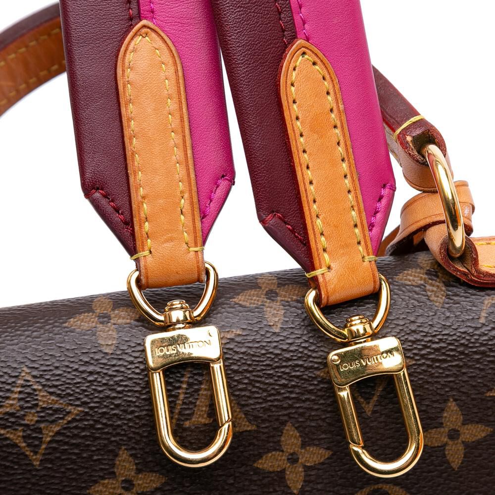 Louis Vuitton Cluny
