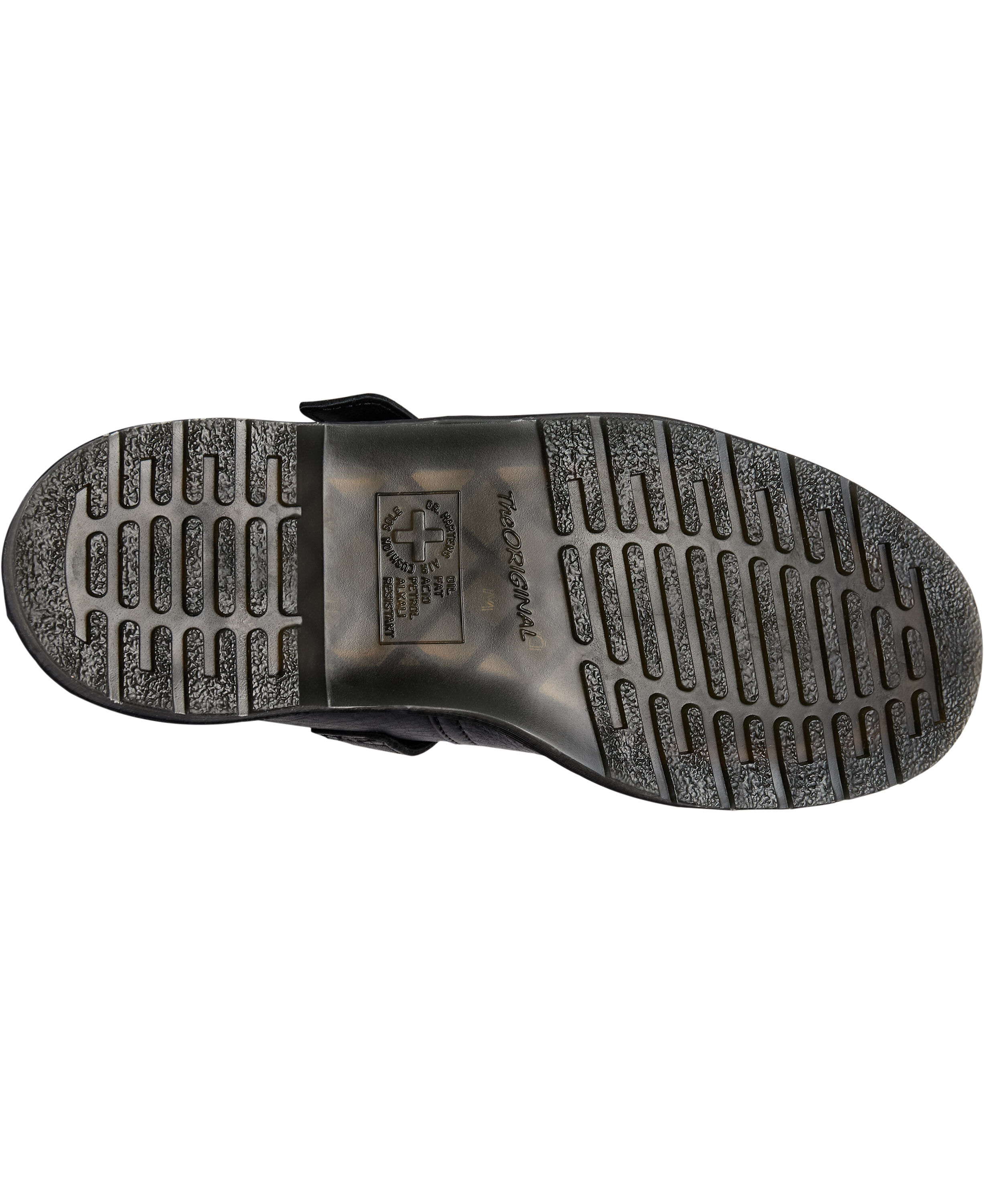 Polley Black Ambassador