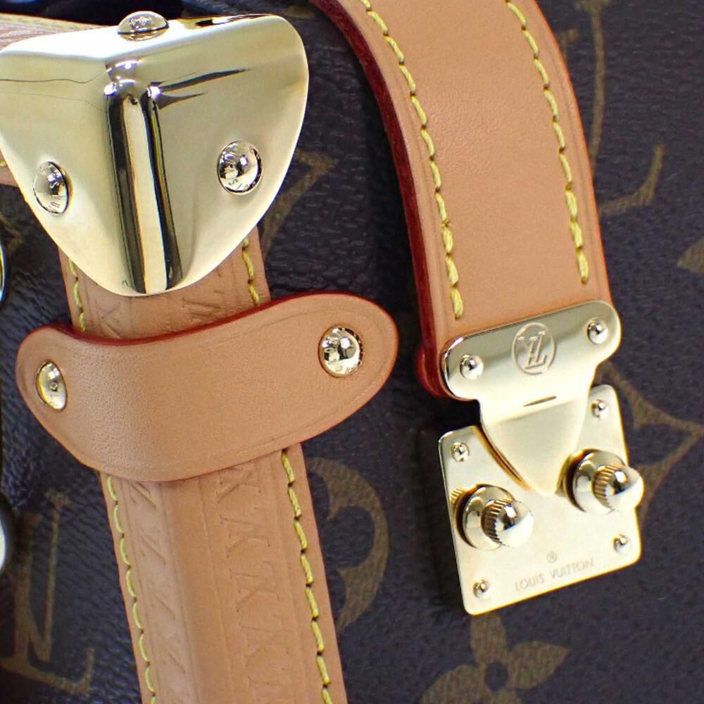 Louis Vuitton Handbag